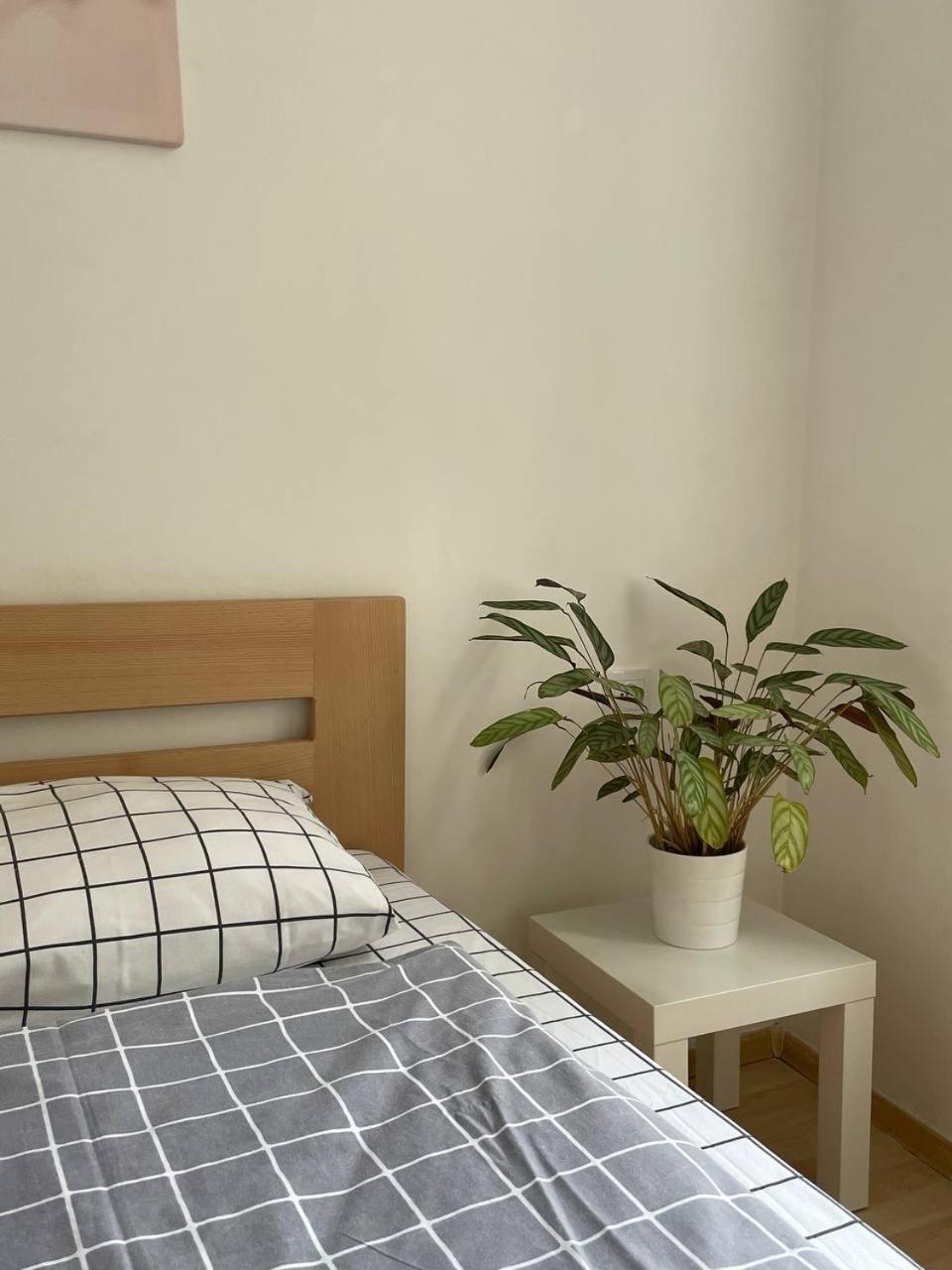 Apartaments Simsim Lwów Zewnętrze zdjęcie